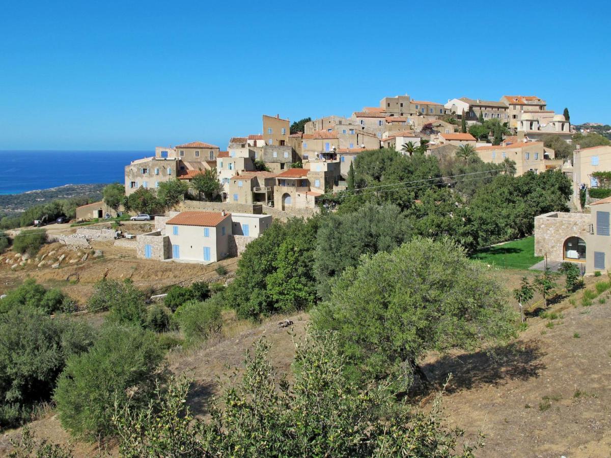 Apartment Thalassa - Cal200 By Interhome Corsica Island Exterior foto
